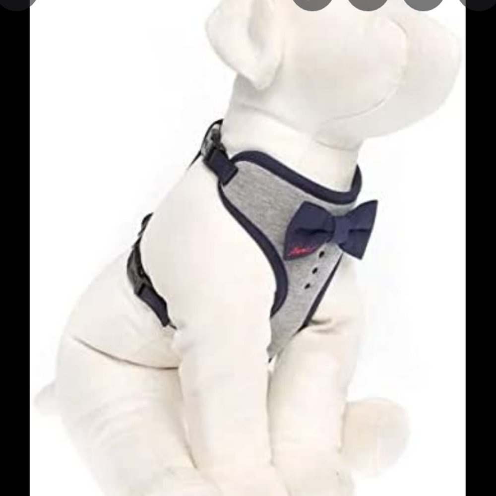 ED Ellen DeGeneres Bow Tie Comfort Dog Harness size large nwt